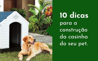 10 dicas para a construção da casinha do seu pet.